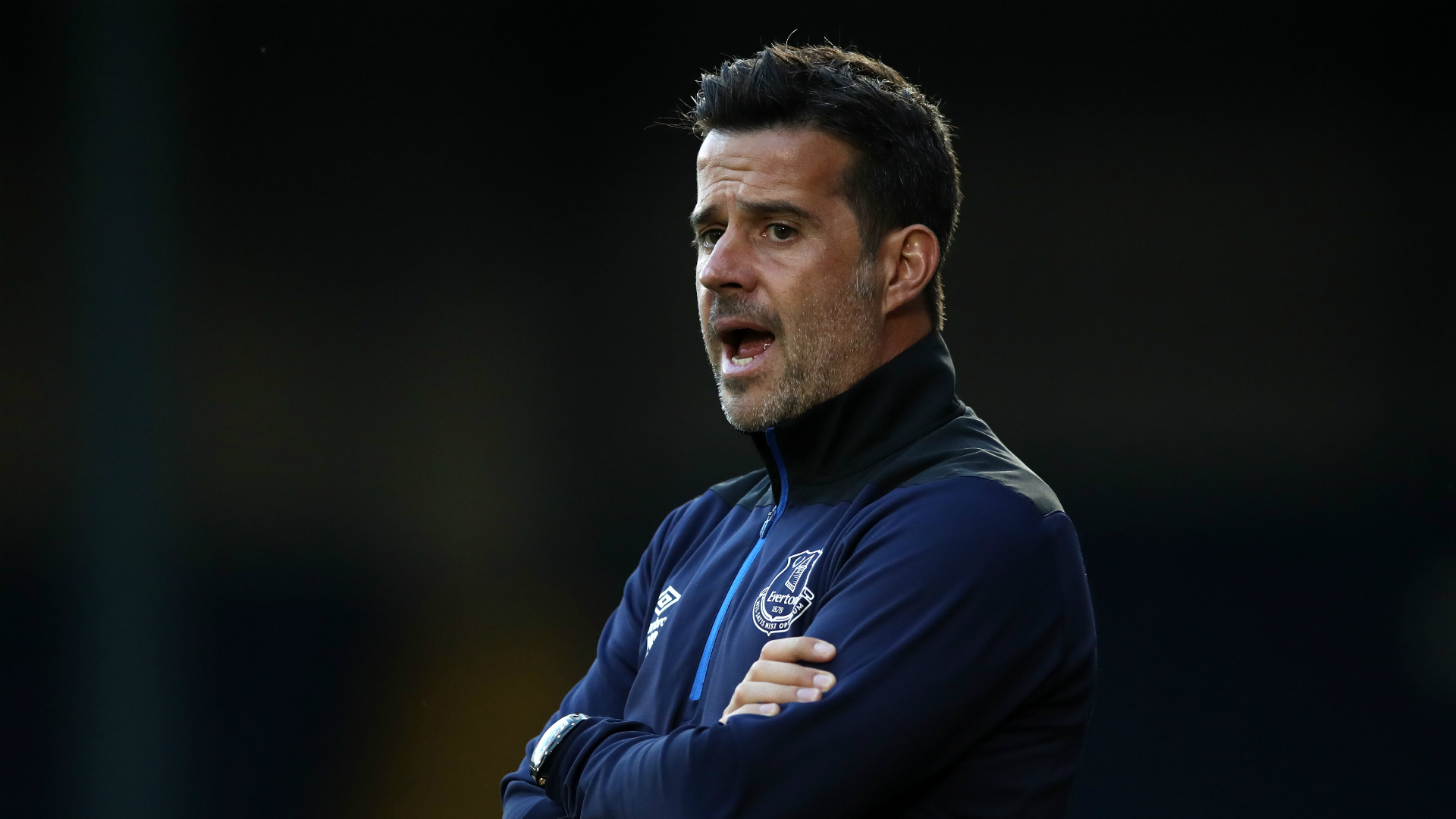 不仅是一部 不仅是一部